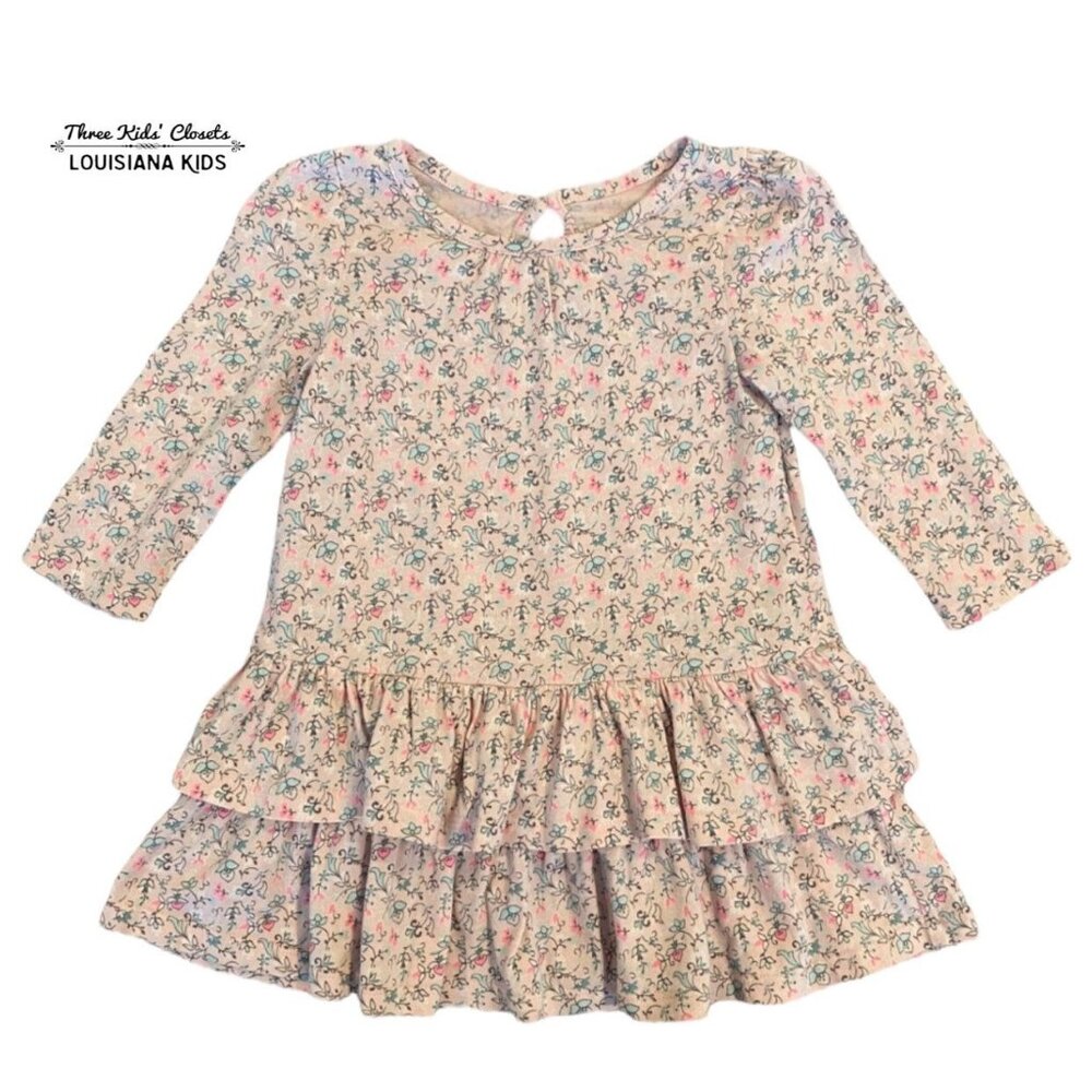 Baby Gap 6-12m Pink Floral Dress